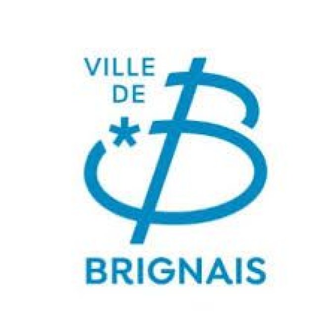 Chauffeur Taxi ou VTC Gare SNCF Lyon Perrache - Brignais