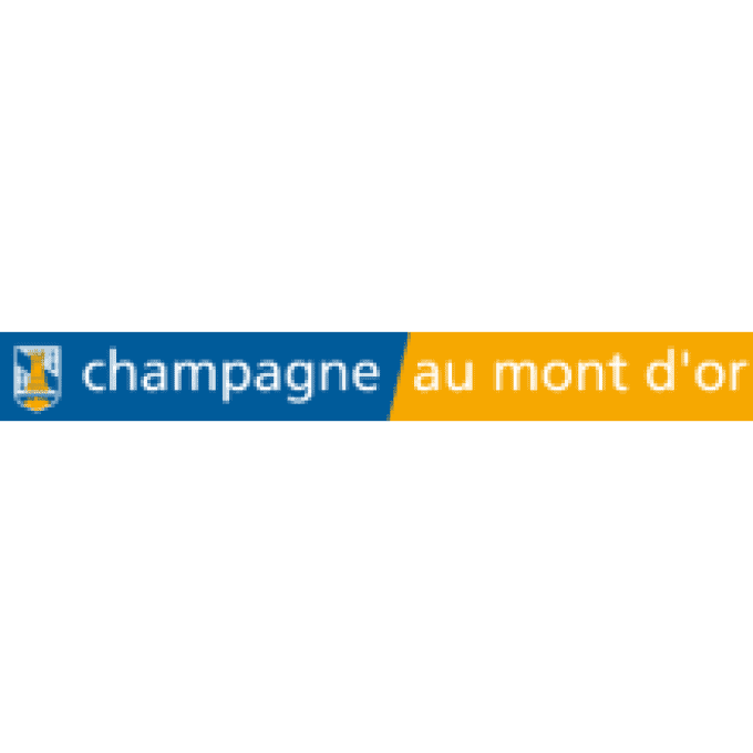 Chauffeur Taxi ou VTC aéroport Lyon Saint Exupéry - Champagne-au-Mont-d'Or