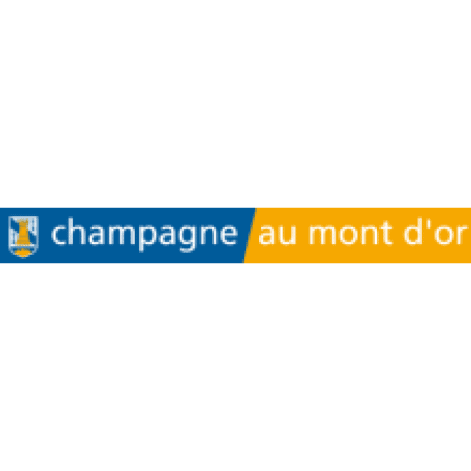 Chauffeur privé VTC aéroport Lyon Saint Exupéry - Champagne-au-Mont-d'Or