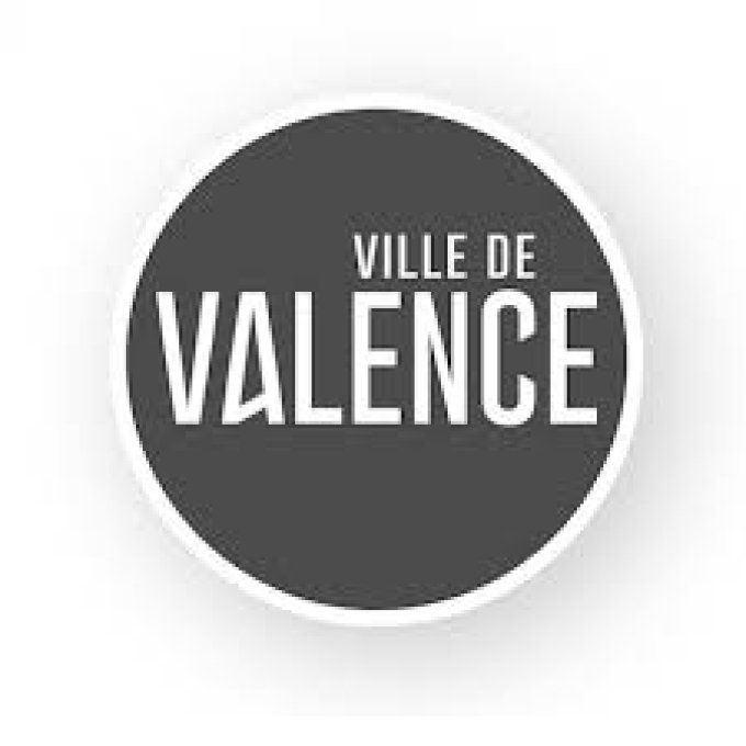 Chauffeur privé VTC Valence - Aéroport Lyon Saint Exupéry 